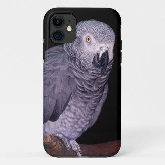 African Grey Parrot iPhone 5 Case