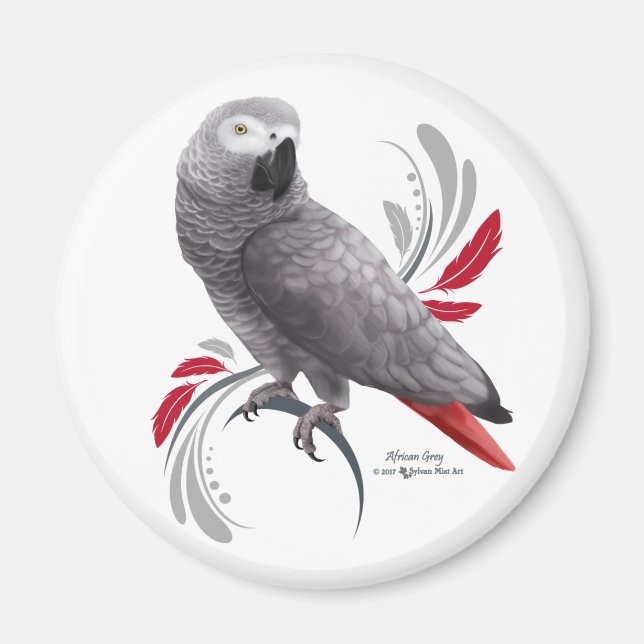 African Grey Parrot Magnet (Front)