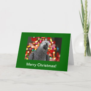 African Grey Parrot Merry Christmas Greeting Card