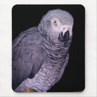 African Grey Parrot Mousemat