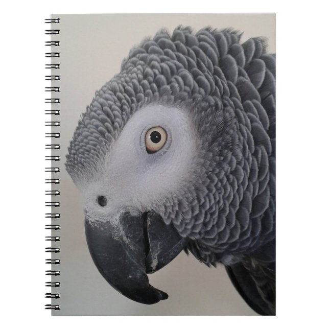 African Grey Parrot Notebook / Journal (Front)