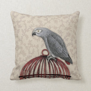 African Grey Parrot on Red Birdcage Cushion