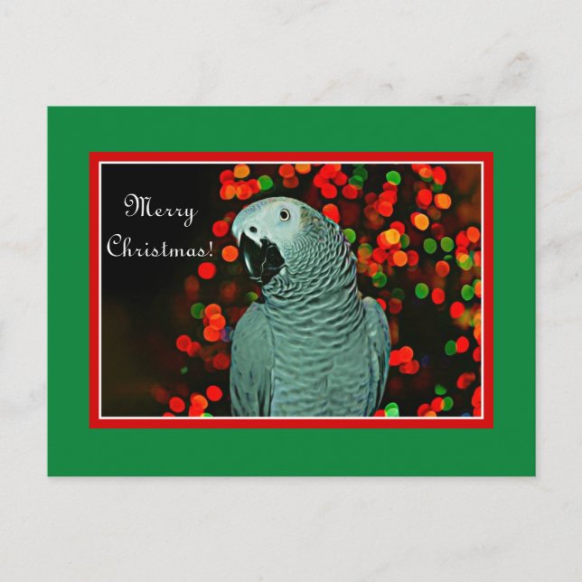 African Grey Parrot Painting with Christmas Tree Holiday Postcard (Front)