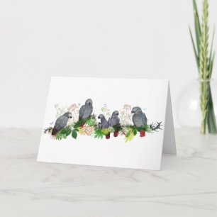 African Grey Parrot Party Card