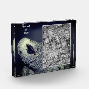 African Grey Parrot Personalised Add Your Own  Photo Block