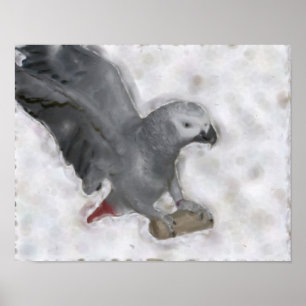 African Grey Parrot Photo Painting Poster