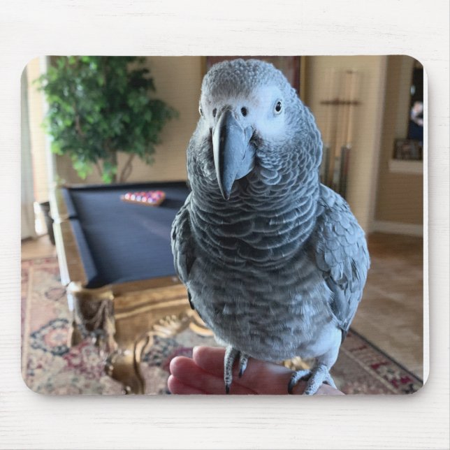 African Grey Parrot Pool table Mouse Mat (Front)