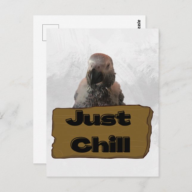 African grey parrot, Postcrossing Postcard (Front/Back)