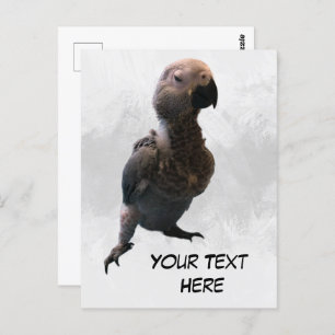 African grey parrot, Postcrossing Postcard