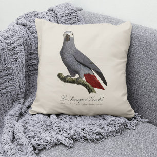 African grey parrot, Psittacus erithacus, vintage Cushion