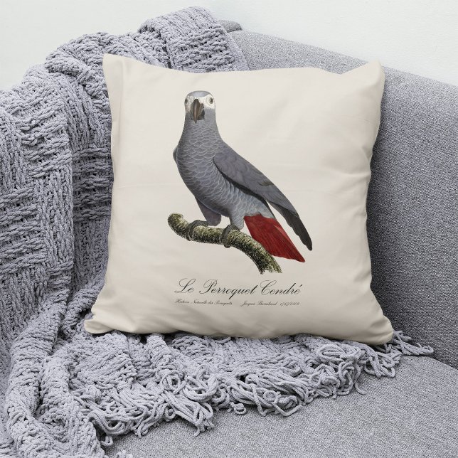 African grey parrot, Psittacus erithacus, vintage Cushion (Le Perroquet Cendre - 19th century illustration. Throw Pillow)