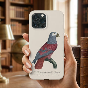 African Grey Parrot Red Factor Psittacus Erithacus iPhone 13 Pro Max Case