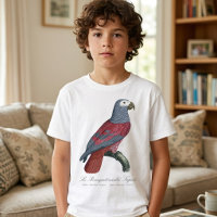 African Grey Parrot Red Factor Psittacus Erithacus