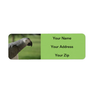 African Grey Parrot Return Address Labels