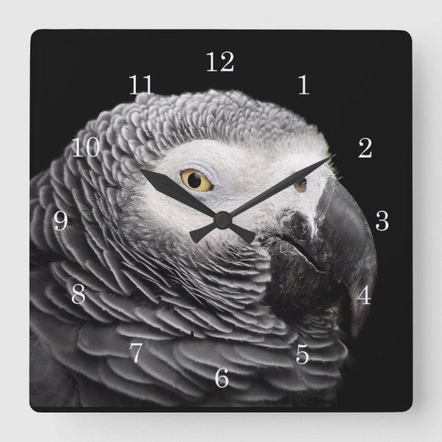 African Grey Parrot Square Wall Clock (Front)