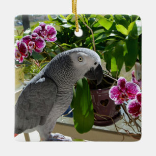 African Grey Parrot with Orchids Ceramic Tree Decoration