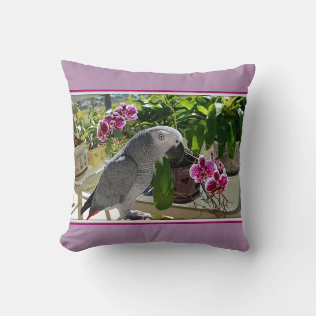 African Grey Parrot with Orchids Cushion (Front)