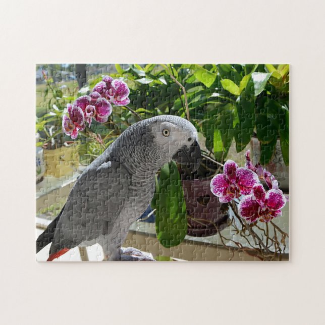 African Grey Parrot with Orchids Jigsaw Puzzle (Horizontal)