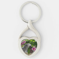 African Grey Parrot with Orchids