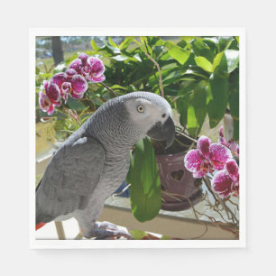 African Grey Parrot with Orchids Napkin