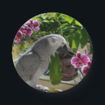 African Grey Parrot with Orchids Paper Plate<br><div class="desc">Congo African Grey Parrot posing among the purple Phalaenopsis Orchid flowers in the garden. A  pretty picture for the bird lover in you!</div>