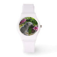 African Grey Parrot with Orchids