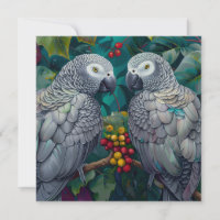 African Grey Persimmon-Berry Duet