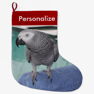 African Grey Pool Party Large Christmas Stocking