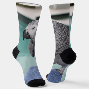 African Grey Pool Party Socks