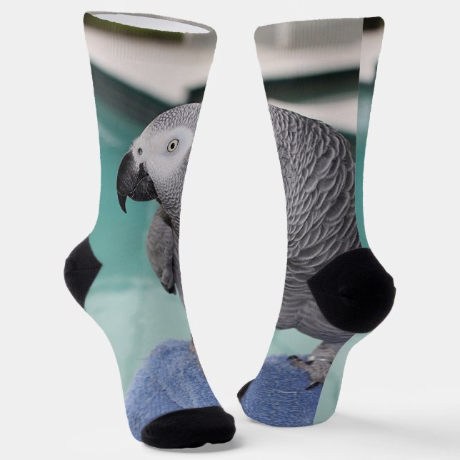 African Grey Pool Party Socks (Angled)