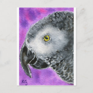 African Grey Postcard
