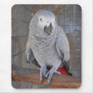African Grey "Rudy" Mouse Mat