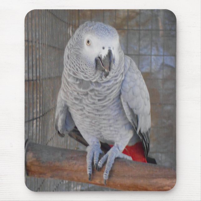African Grey "Rudy" Mouse Mat (Front)