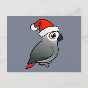 African Grey Santa Holiday Postcard