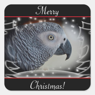 African Grey Snowy Christmas Square Sticker