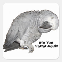 African Grey Stickers