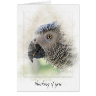 African Grey-thinking of you