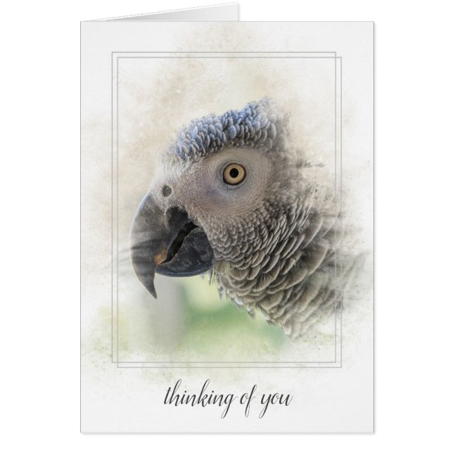 African Grey-thinking of you (Front)
