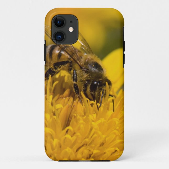 African Honey Bee With Pollen Sacs Feeding Case-Mate iPhone Case (Back)