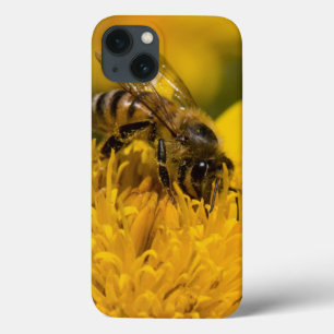 African Honey Bee With Pollen Sacs Feeding iPhone 13 Case