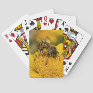 African Honey Bee With Pollen Sacs Feeding Playing Cards