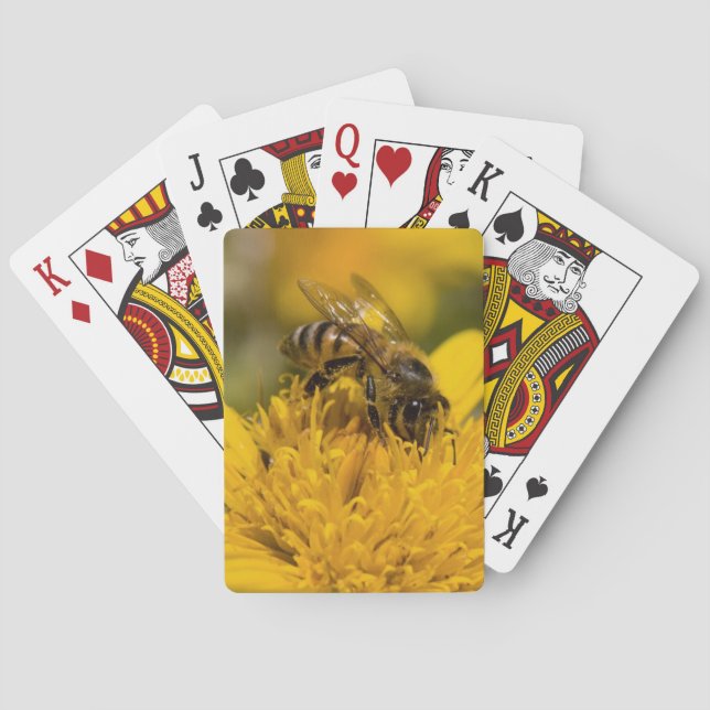 African Honey Bee With Pollen Sacs Feeding Playing Cards (Back)