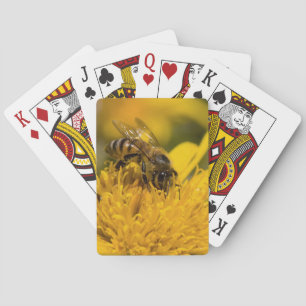 African Honey Bee With Pollen Sacs Feeding Playing Cards