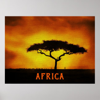 African Landscape Acacia Tree  Poster
