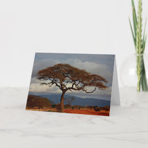 African landscape card