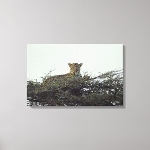 African leopard canvas print