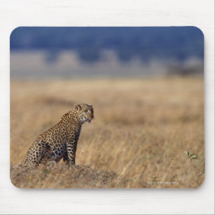 African leopard in grasslands , Kenya , Africa Mouse Mat
