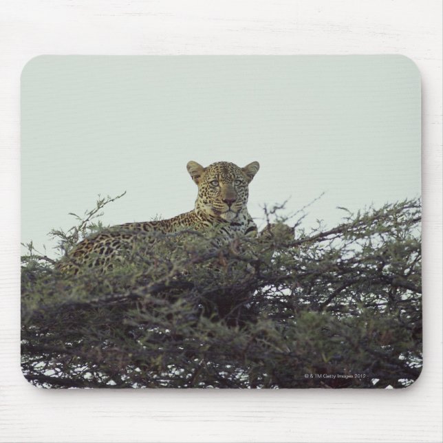 African leopard mouse mat (Front)