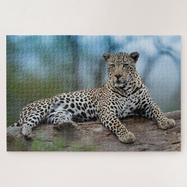 African Leopard Wild Big Cats Animal Nature Jigsaw Puzzle (Horizontal)