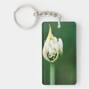African Lily, Agapanthus Praecox, Cape Town Key Ring